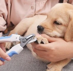 Merkloos Nagelschaar - Nagelschaartje - Nagelknipper - Geschikt Voor Hond Kat Konijn Cavia Vogel - Blauw Wit