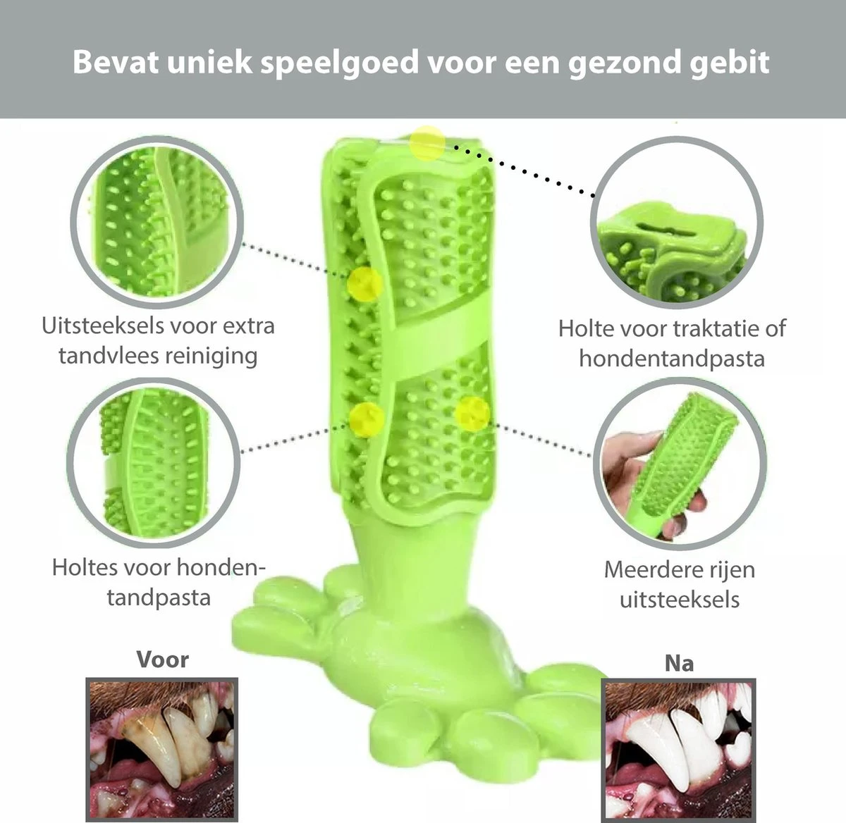 Filo Honden Speelgoed Set 14 Stuks - Hondenspeeltjes Knuffel - Hondenbal - Flostouw - Bot - Frisbee - Hondentouw - Hondenspeelgoed Intelligentie - Kauwspeelgoed Hond En Puppy - Bijtspeelgoed Hondenknuffel - Hondenspeeltje Met Piep 4 Filo Honden Speelgoed Set 14 Stuks - Hondenspeeltjes Knuffel - Hondenbal - Flostouw - Bot - Frisbee - Hondentouw - Hondenspeelgoed Intelligentie - Kauwspeelgoed Hond En Puppy - Bijtspeelgoed Hondenknuffel - Hondenspeeltje Met Piep - Image 2
