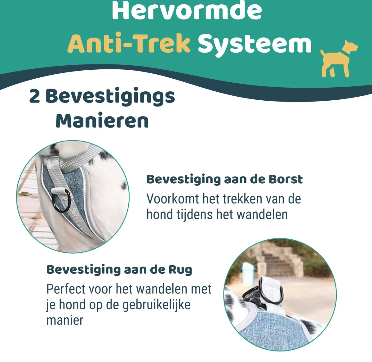 Mmoods Hondentuigje Grijs - Anti-Trek Tuig Voor Puppy's - Hondenharnas Voor Kleine Honden - Reflecterende Halsband Hond - Hondenhalsband Maat S 5 Mmoods Hondentuigje Grijs - Anti-Trek Tuig Voor Puppy's - Hondenharnas Voor Kleine Honden - Reflecterende Halsband Hond - Hondenhalsband Maat S - Image 3