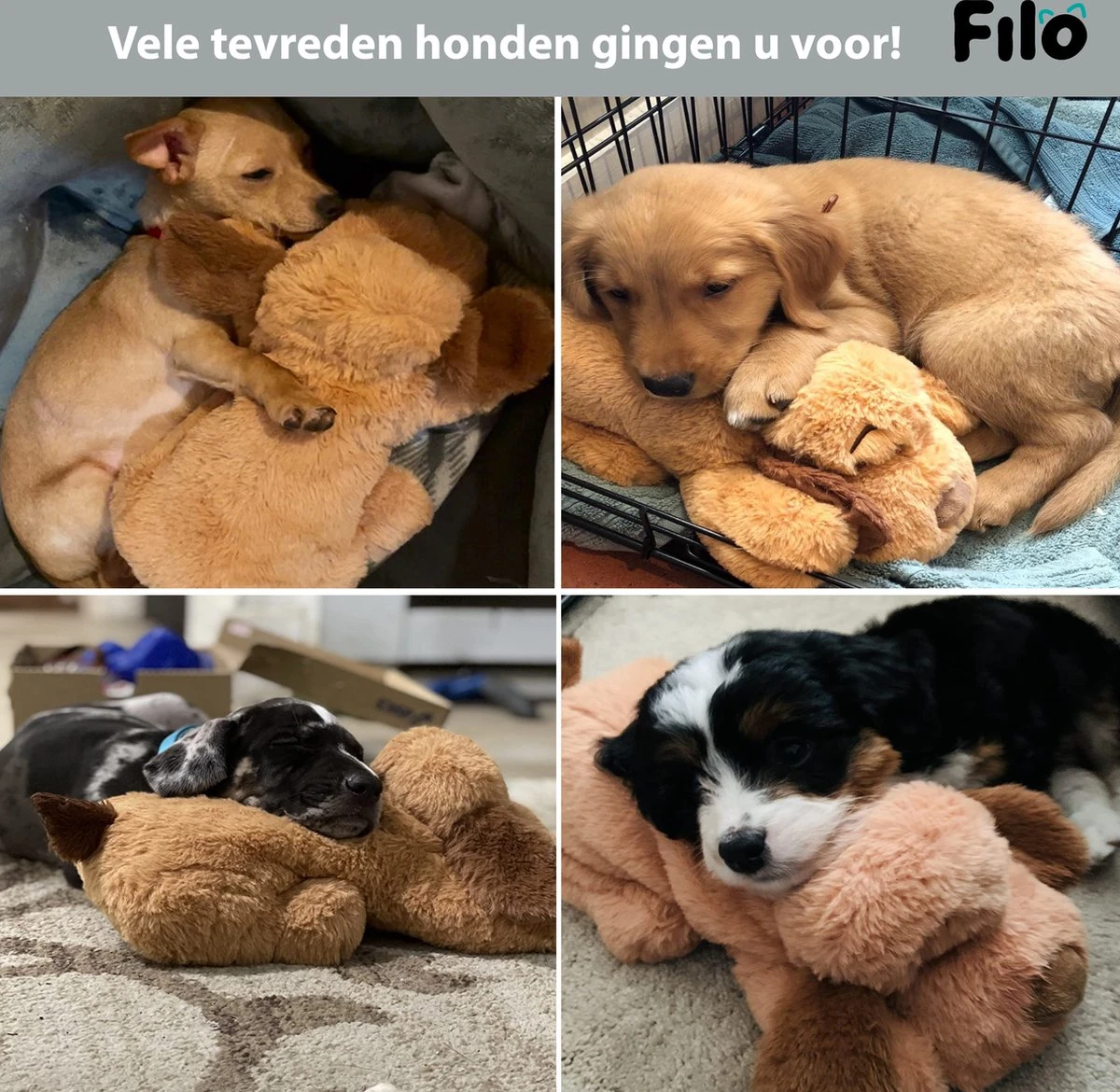 Filo Hondenknuffel Met Hartslag En Warmtebron - Hartslagknuffel Hondenspeelgoed Snuggle Puppy - Knuffel Met Hartslag - Heartbeat Knuffel Hond 7 Filo Hondenknuffel Met Hartslag En Warmtebron - Hartslagknuffel Hondenspeelgoed Snuggle Puppy - Knuffel Met Hartslag - Heartbeat Knuffel Hond - Image 5