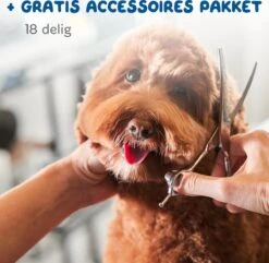 Pawwy Dieren Tondeuse Set Draadloos Voor Honden En Katten – Voor Dikke Vacht - Hondentondeuse – Hondentrimmer - Scheerapparaat - Goud -Huisdierbenodigdheden Korting 1200x1170 2