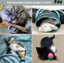 Filo Kattenspeelgoed Set 30 Stuks - Kattenspeeltje Kattentunnel - Kattenhengel - Kattenveertjes - Vis Met Kattenkruid - Kattenspeeltjes Intelligentie Kitten - Interactief Speelgoed Katten - Poezen Speeltjes -Huisdierbenodigdheden Korting 1200x1170 21