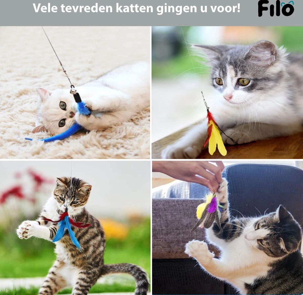Filo Kattenhengel Set + 12 Kattenspeeltjes – Speelhengels Interactief Kattenspeelgoed – Hengel Kattenspeeltje Kittens - Speelgoed Speelhengel Vis Kat En Kitten 7 Filo Kattenhengel Set + 12 Kattenspeeltjes – Speelhengels Interactief Kattenspeelgoed – Hengel Kattenspeeltje Kittens - Speelgoed Speelhengel Vis Kat En Kitten - Image 5