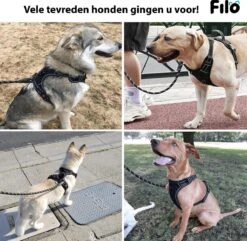 Filo Anti Trek Hondentuig Maat XL Met Hondenriem - Y Tuig Hond Verstelbaar - Hondenharnas Met Hondenlijn - Honden Tuigje - Leiband Hond - Hondentuigje - Extra Large - Riem -Huisdierbenodigdheden Korting 1200x1170 6
