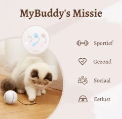 MyBuddy - Interactieve Zelf Rollende Bal - Kattenspeeltjes - Kattenspeelgoed - Bal Voor Katten - LED Lights - Speelgoed - USB - Roze -Huisdierbenodigdheden Korting 1200x1171 17