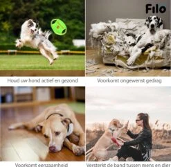 Filo Honden Speelgoed Set 14 Stuks - Hondenspeeltjes Knuffel - Hondenbal - Flostouw - Bot - Frisbee - Hondentouw - Hondenspeelgoed Intelligentie - Kauwspeelgoed Hond En Puppy - Bijtspeelgoed Hondenknuffel - Hondenspeeltje Met Piep 17 Filo Honden Speelgoed Set 14 Stuks - Hondenspeeltjes Knuffel - Hondenbal - Flostouw - Bot - Frisbee - Hondentouw - Hondenspeelgoed Intelligentie - Kauwspeelgoed Hond En Puppy - Bijtspeelgoed Hondenknuffel - Hondenspeeltje Met Piep -Huisdierbenodigdheden Korting 1200x1171
