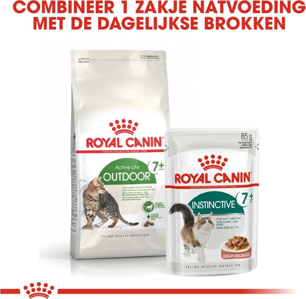 Royal Canin Outdoor 7+ - 4 Kg 9 Royal Canin Outdoor 7+ - 4 Kg - Image 7