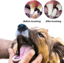 Doodadeals® 4 Stuks Siliconen Honden Tandenborstel - Tanden Borstel Hond - Silicone Dog Tootbrush - Multikleur -Huisdierbenodigdheden Korting 1200x1175 15