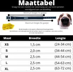 Halsband Hond Met Gesp - Reflecterend - Blauw - Maat XL - Oersterk -Huisdierbenodigdheden Korting 1200x1175 16