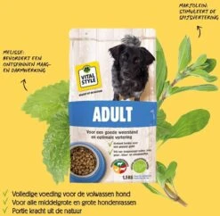 VITALstyle ADULT - Hondenbrokken - 12 Kg 16 VITALstyle ADULT - Hondenbrokken - 12 Kg -Huisdierbenodigdheden Korting 1200x1177 10