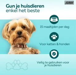 LaCardia Voerautomaat Zwart - Automatische Voerbak Voor Kat Of Hond - Verstelbare Camera - Smartphone Besturing - 6.0 L Voerautomaat - Voerdispenser -Huisdierbenodigdheden Korting 1200x1177 6
