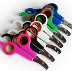 Doodadeals® | Nagelschaar Kat | Nagelschaar Hond | Nagelschaar Konijn | Nagelschaar Cavia | Multi Color | 1 Stuk -Huisdierbenodigdheden Korting 1200x1178 8