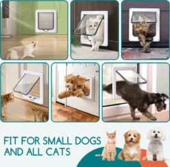 Nobleza Kattenluik Met Tunnel - 4 Vergrendelingsstanden - Weerbestendig - Binnen En Buiten - 20.5 X 19.7 Cm - Maat M - Wit -Huisdierbenodigdheden Korting 1200x1179 17