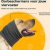 Merkloos Oorbeschermer Voor Honden - Comfortabel - Rustgevend - Zacht - Stijlvol 1 Merkloos Oorbeschermer Voor Honden - Comfortabel - Rustgevend - Zacht - Stijlvol -Huisdierbenodigdheden Korting 1200x1181 17