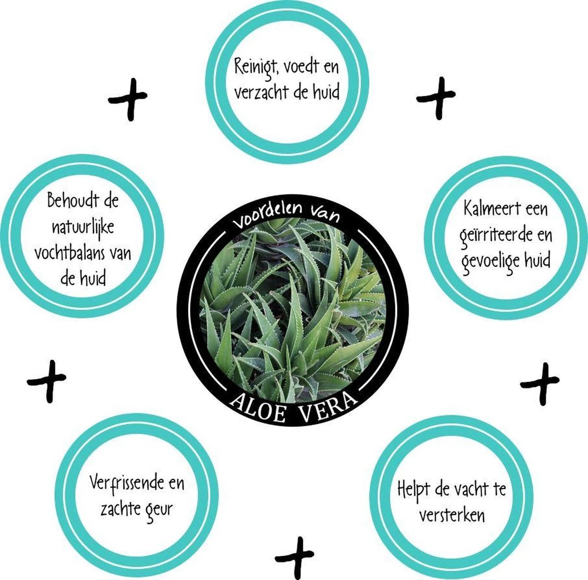 Greenfields Vacht Verzorging Set Voor Honden Shampoo, Conditioner & Droogshampoo 6 Greenfields Vacht Verzorging Set Voor Honden Shampoo, Conditioner & Droogshampoo - Image 4