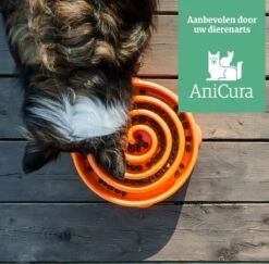 Anti Schrok Voerbak - Lichtblauw - Ø 28 Cm 30 Anti Schrok Voerbak - Lichtblauw - Ø 28 Cm -Huisdierbenodigdheden Korting 1200x1182 7