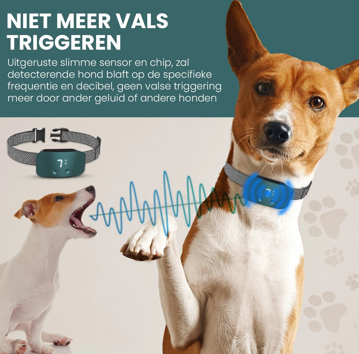 Salvano Anti Blafband - Blafband Voor Honden - Opvoedingshalsbanden - Voor Kleine En Grote Honden - Anti Blafband Zonder Schok- Oplaadbaar - Anti Blaf Apparaat - Blafband - Diervriendelijk 4 Salvano Anti Blafband - Blafband Voor Honden - Opvoedingshalsbanden - Voor Kleine En Grote Honden - Anti Blafband Zonder Schok- Oplaadbaar - Anti Blaf Apparaat - Blafband - Diervriendelijk - Image 2