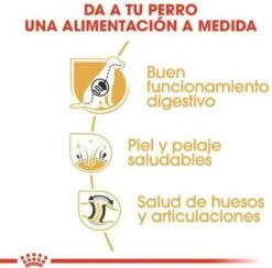 Royal Canin German Shepherd Adult 11 KG -Huisdierbenodigdheden Korting 1200x1183 9