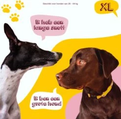 Eat Slow Live Longer Original Voerbak – Anti-schrok Voerbak – Slow Feeder Voor Honden – Anti-slip – Grijs – Ø20,5 Cm - Small/Medium – Geschikt Voor Kleine En Middelgrote Honden -Huisdierbenodigdheden Korting 1200x1184 12