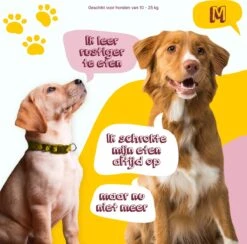 Eat Slow Live Longer Original Voerbak – Anti-schrok Voerbak – Slow Feeder Voor Honden – Anti-slip – Grijs – Ø20,5 Cm - Small/Medium – Geschikt Voor Kleine En Middelgrote Honden -Huisdierbenodigdheden Korting 1200x1184 13