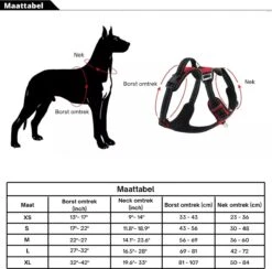 Hondenharnas – Inclusief Hondenriem – Reflecterend – Hondentuig – Hondenriem – Y Tuig Hond - Anti Trek Tuig - Zwart – Maat M -Huisdierbenodigdheden Korting 1200x1184 15