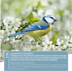 Wildtier Herz | Nestkastje Natuur Voor Pimpelmezen & Kleine Mezensoorten Van Massief Hout - Geschroefd, Onbehandeld, Weerbestendig, Vogelhuisje Voor Meesjes, Nesthulp Met 28 Mm Invlieggat -Huisdierbenodigdheden Korting 1200x1185 26