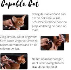 Capable Cat Vlooienband Kat | Vlooien | Luizen | Teken | Mijten | 8 Maanden Bescherming | Katten 14 Capable Cat Vlooienband Kat | Vlooien | Luizen | Teken | Mijten | 8 Maanden Bescherming | Katten -Huisdierbenodigdheden Korting 1200x1186 17