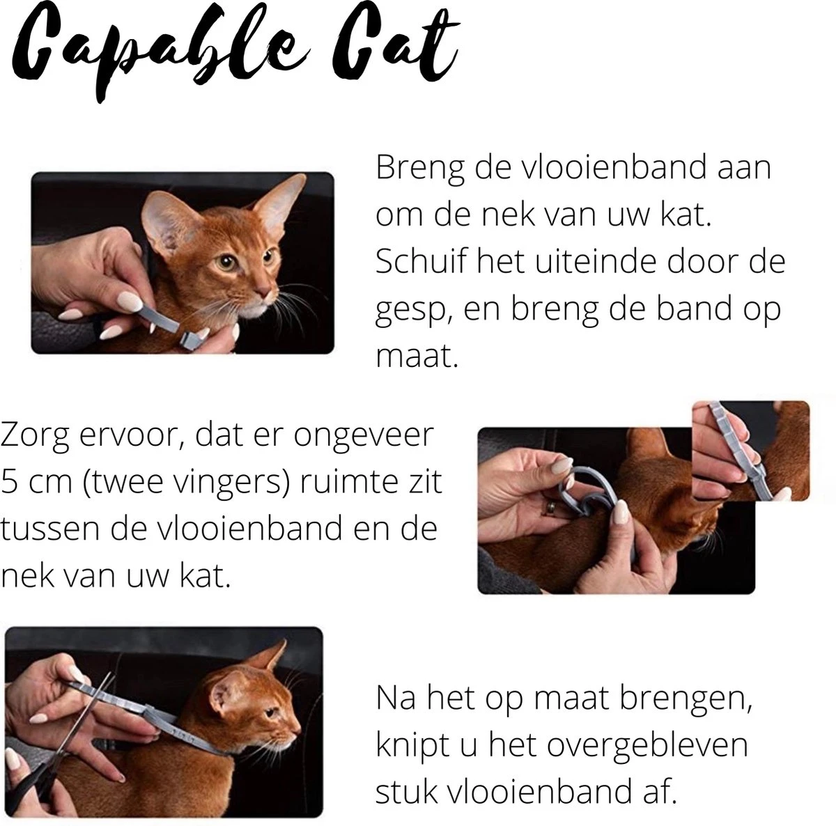Capable Cat Vlooienband Kat | Vlooien | Luizen | Teken | Mijten | 8 Maanden Bescherming | Katten 8 Capable Cat Vlooienband Kat | Vlooien | Luizen | Teken | Mijten | 8 Maanden Bescherming | Katten - Image 6