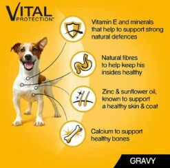 Pedigree Natvoer Mixed Selection 84 X 100 G. Kip, Runds, Kalkoen En Lams - Hondenvoeding -Compleet Nat Hondenvoer. -Huisdierbenodigdheden Korting 1200x1187 17