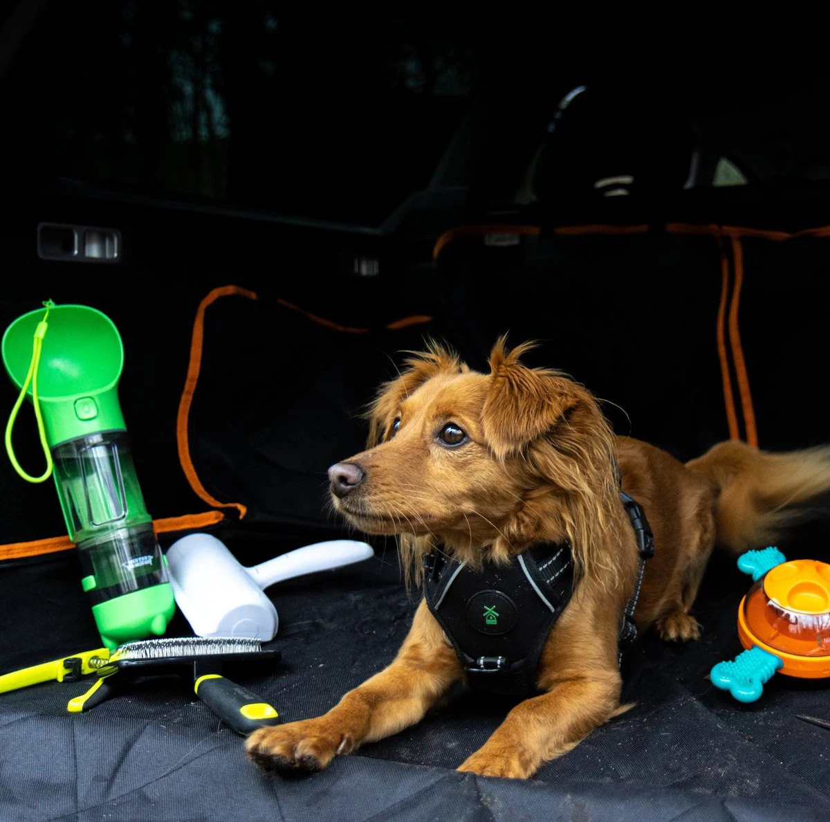 Mister Mill Drinkfles Hond - Honden Bidon - Waterfles - 500ML + 50ML Voeropslag + Poepzakjes Container 9 Mister Mill Drinkfles Hond - Honden Bidon - Waterfles - 500ML + 50ML Voeropslag + Poepzakjes Container - Image 7