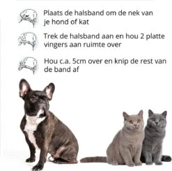 Merkloos Vlooienband Hond - 8 Maanden Bescherming - Vlooienband - Natuurlijk - Tekenband - Anti Vlooien - 63cm - Fit All Sizes - Vlooienbandjes Hond - Vlooien - Teken -Huisdierbenodigdheden Korting 1200x1188 19