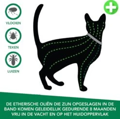 Teken- En Vlooienband Voor Katten PLUS - Natuurlijk Middel Tegen Vlooien En Teken - 100% Natuurlijk - 38,5 CM - Tot 8 Maand Werkzaam - Biologisch -Huisdierbenodigdheden Korting 1200x1188 25