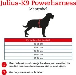Julius K9 Original Powertuig/Harnas - Fuchsia - S - Mini/49-67cm -Huisdierbenodigdheden Korting 1200x1189 16
