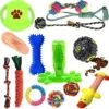 Filo Honden Speelgoed Set 14 Stuks - Hondenspeeltjes Knuffel - Hondenbal - Flostouw - Bot - Frisbee - Hondentouw - Hondenspeelgoed Intelligentie - Kauwspeelgoed Hond En Puppy - Bijtspeelgoed Hondenknuffel - Hondenspeeltje Met Piep -Huisdierbenodigdheden Korting 1200x1191