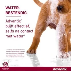 Bayer Advantix Spot-on 400/2000 25+ Kg - 4 Pipetten -Huisdierbenodigdheden Korting 1200x1191 13