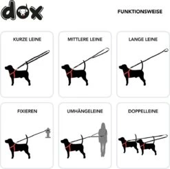 DDOXX Hondenriem Air Mesh, 3-voudig Verstelbaar, 2m | Voor Kleine & Grote Honden | Dubbele Riem Twee Honden Kat Puppy | Tug Leash Large | Lead Leash Small | Walking Leash Puppy Leash | Zwart, M -Huisdierbenodigdheden Korting 1200x1192 1