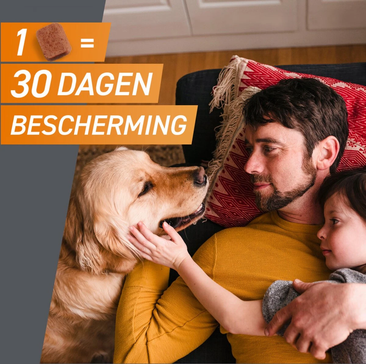 Frontpro Hond XL 25-50 Kg 3 Tabletten 5 Frontpro Hond XL 25-50 Kg 3 Tabletten - Image 3