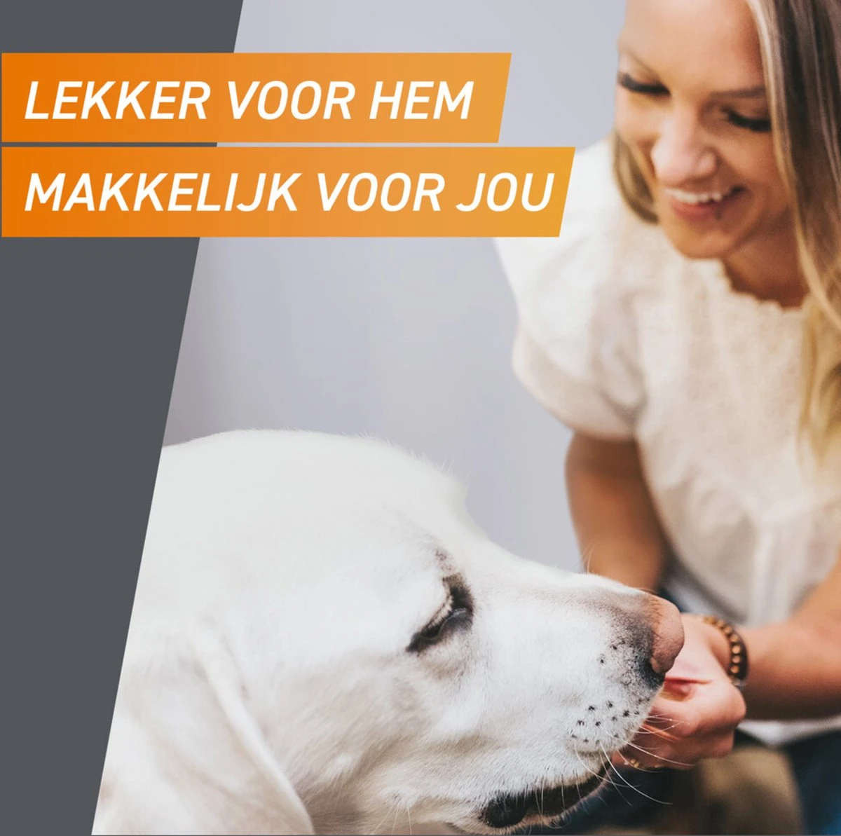 Frontpro Hond XL 25-50 Kg 3 Tabletten 6 Frontpro Hond XL 25-50 Kg 3 Tabletten - Image 4