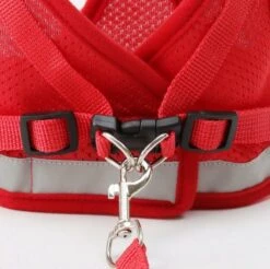 Merkloos Verstelbaar Kattentuigje Reflecterend - Kattenharnas - Kattentuig Met Looplijn - Rood - Maat S 8 Merkloos Verstelbaar Kattentuigje Reflecterend - Kattenharnas - Kattentuig Met Looplijn - Rood - Maat S -Huisdierbenodigdheden Korting 1200x1194 22