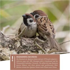 Wildtier Herz I Nestkast Voor Mussen Volgens NABU I 42cm X 32,5cm X 17cm Nestkasten Voor Vogels Van Massief Hout I Mussenhuis, Mussennestkast, Vogelmussenkolonie -Huisdierbenodigdheden Korting 1200x1194 27