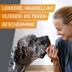 Frontpro Hond L 10-25 Kg 3 Tabletten -Huisdierbenodigdheden Korting 1200x1195 21