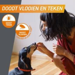 Frontpro Hond L 10-25 Kg 3 Tabletten -Huisdierbenodigdheden Korting 1200x1195 22