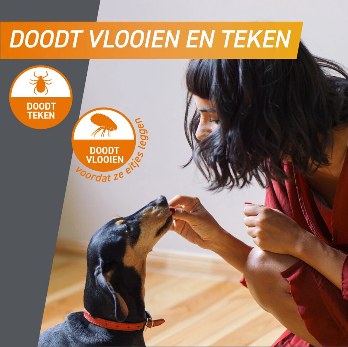 Frontpro Hond XL 25-50 Kg 3 Tabletten 4 Frontpro Hond XL 25-50 Kg 3 Tabletten - Image 2