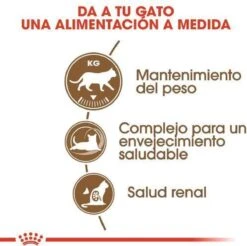 Royal Canin Ageing Sterilised 12+ - Kattenvoer - 2 Kg -Huisdierbenodigdheden Korting 1200x1195 43