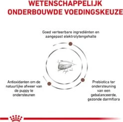 Royal Canin Gastro Intestinal Junior - Tot 12 Maanden - Hondenvoer - 10 Kg -Huisdierbenodigdheden Korting 1200x1196 21