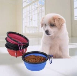 Huisdierbenodigdheden Korting -Huisdierbenodigdheden Korting 1200x1197 23