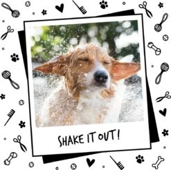 Bugalugs - Hondenshampoo - One In A Million - Alle Vachttypes - Fles Met Pompje - Vegan - 500 Ml -Huisdierbenodigdheden Korting 1200x1197 6