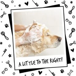 Bugalugs - Hondenshampoo - One In A Million - Alle Vachttypes - Fles Met Pompje - Vegan - 500 Ml -Huisdierbenodigdheden Korting 1200x1197 8