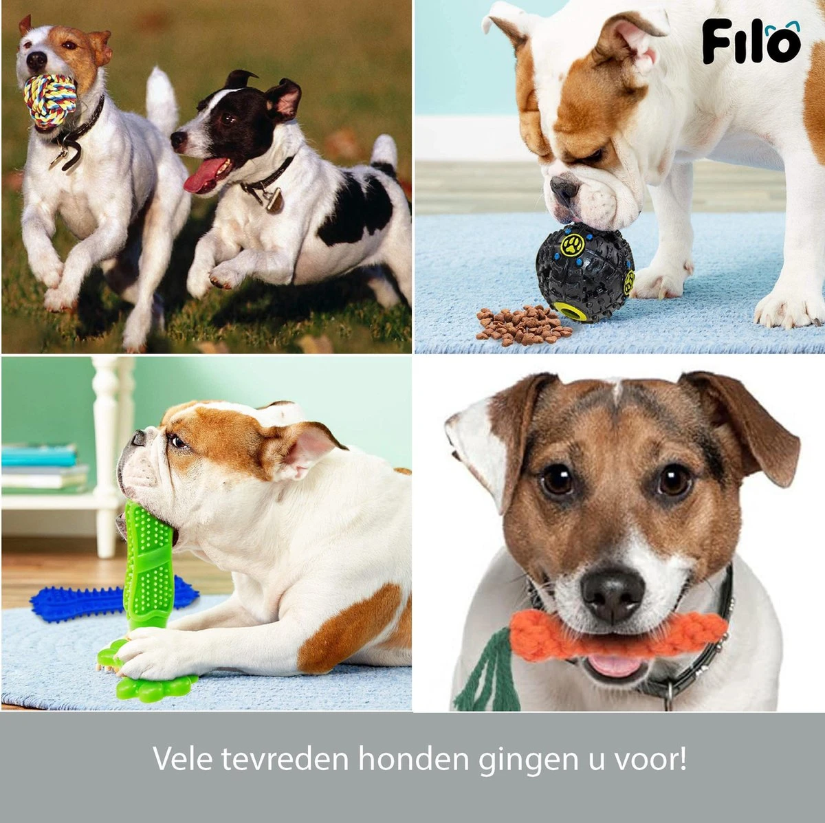 Filo Honden Speelgoed Set 14 Stuks - Hondenspeeltjes Knuffel - Hondenbal - Flostouw - Bot - Frisbee - Hondentouw - Hondenspeelgoed Intelligentie - Kauwspeelgoed Hond En Puppy - Bijtspeelgoed Hondenknuffel - Hondenspeeltje Met Piep 7 Filo Honden Speelgoed Set 14 Stuks - Hondenspeeltjes Knuffel - Hondenbal - Flostouw - Bot - Frisbee - Hondentouw - Hondenspeelgoed Intelligentie - Kauwspeelgoed Hond En Puppy - Bijtspeelgoed Hondenknuffel - Hondenspeeltje Met Piep - Image 5