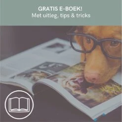 Comfort Company Praatknop Hond | Dogbuttons – Honden Speelgoed | Honden Speelgoed Intelligentie | 4 Stuks | Agility Voor De Hond | 30 Seconden Opnamen | Honden Training 17 Comfort Company Praatknop Hond | Dogbuttons – Honden Speelgoed | Honden Speelgoed Intelligentie | 4 Stuks | Agility Voor De Hond | 30 Seconden Opnamen | Honden Training -Huisdierbenodigdheden Korting 1200x1198 37